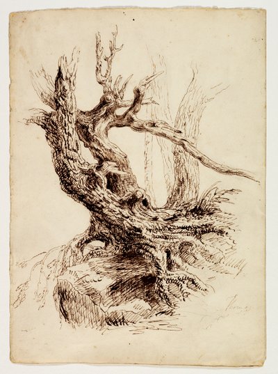 Gnarled Tree Trunk by Thomas Cole